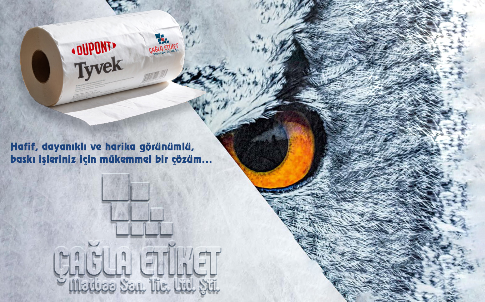 TYVEK DUPONT